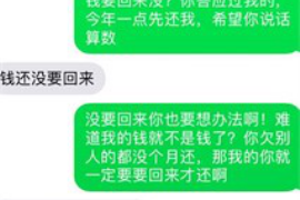 兴海为什么选择专业追讨公司来处理您的债务纠纷？